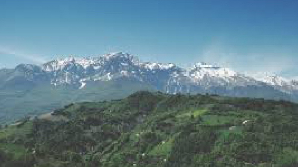 Chi cammina arriva in pieno già allenato