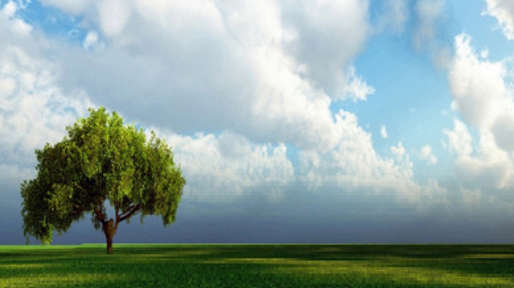 Ciò che il cuore conosce oggi la testa comprenderà domani