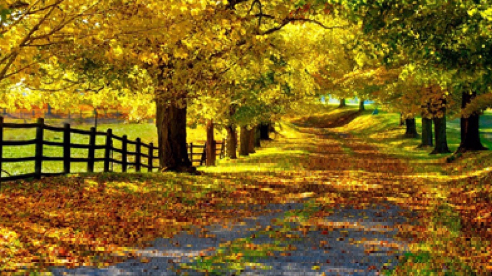 Dobbiamo tornare a imparare a comunicare