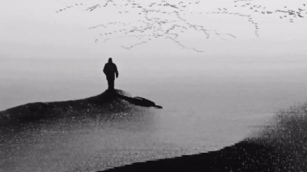 Facciamo che la pace cresca dentro