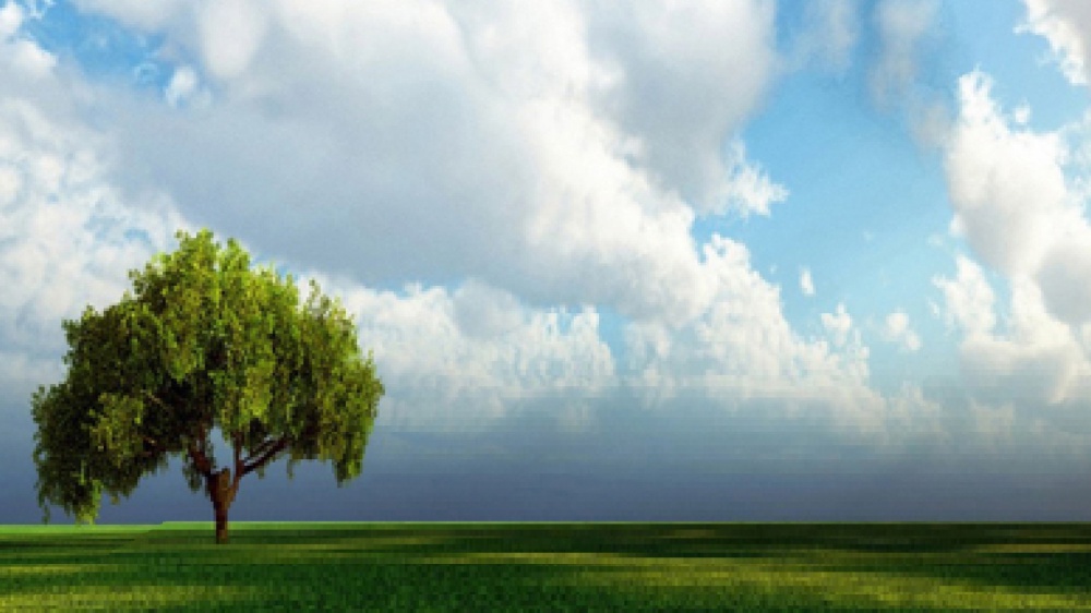 Facciamo vivere meglio la vita che stiamo vivendo