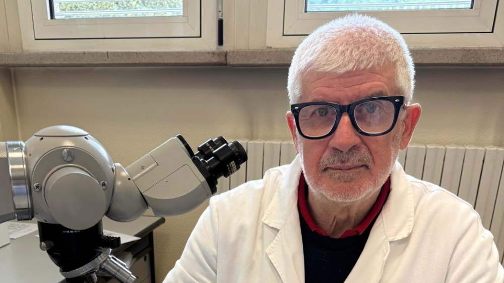 Filosofia, natura e biodiversità 