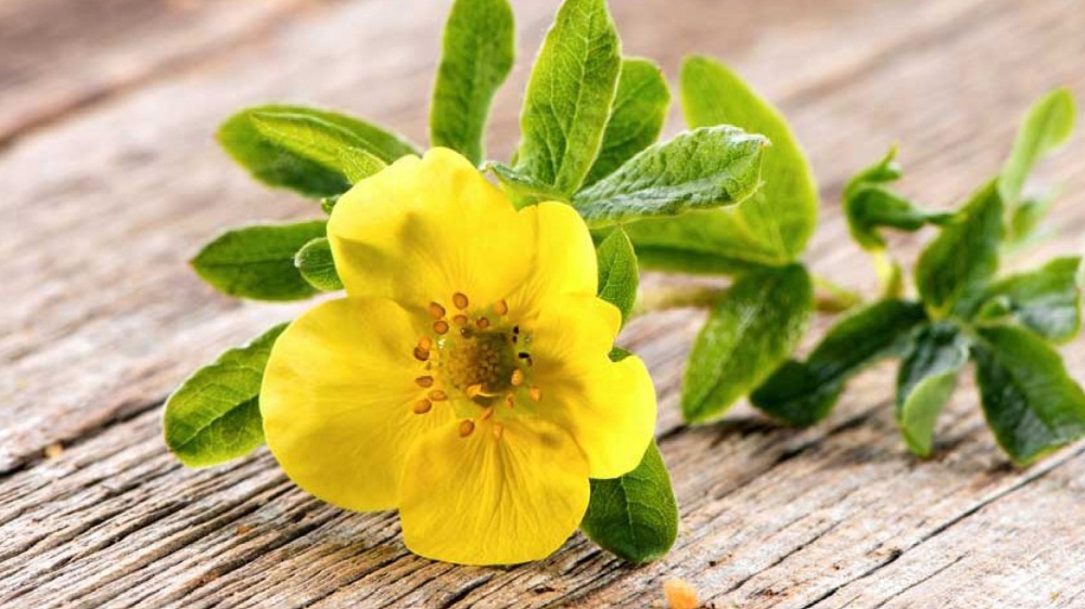 I giovani hanno più bisogno di esempi che di raccomandazioni