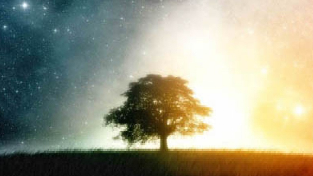 Il bisogno della cena, perché unisce