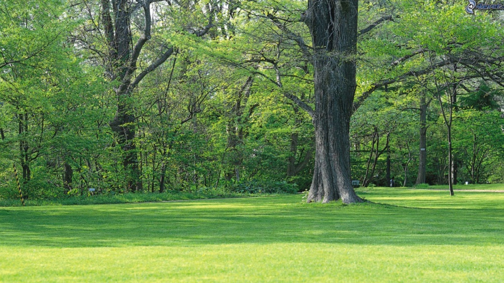 Il poeta conosce la natura meglio degli scienziati