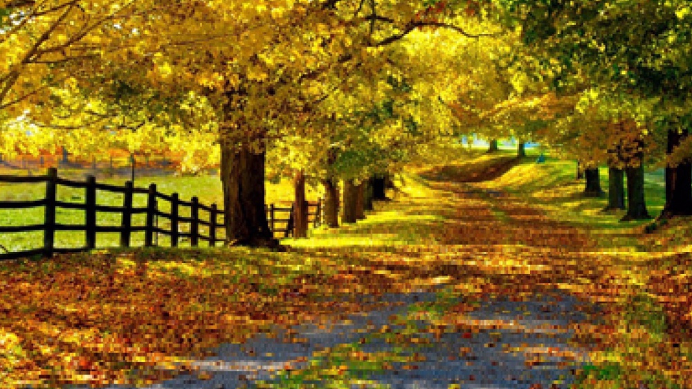 Il tempo non invecchia ma matura