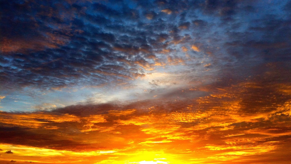 In questo periodo è più facile diventare bestie che uomini