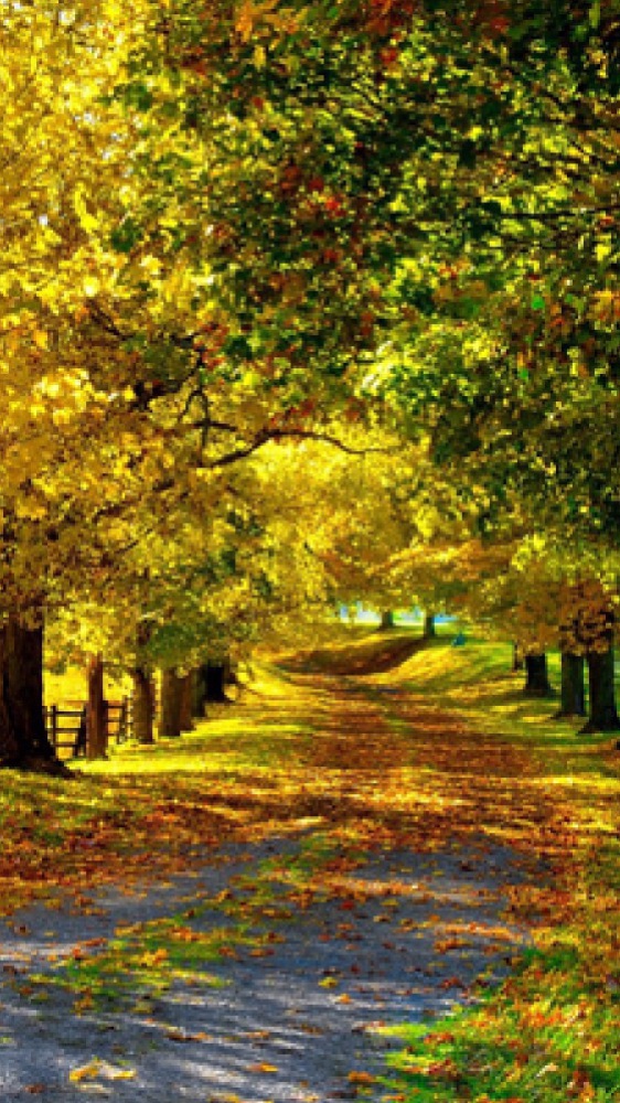 Don Mazzi dà i numeri - La calma è il carattere principale della fortezza