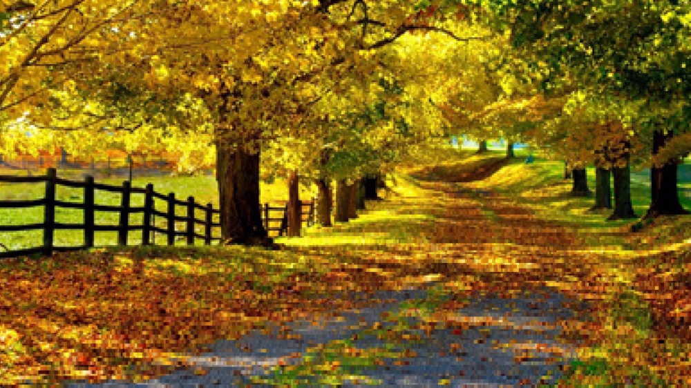 La calma è il carattere principale della fortezza