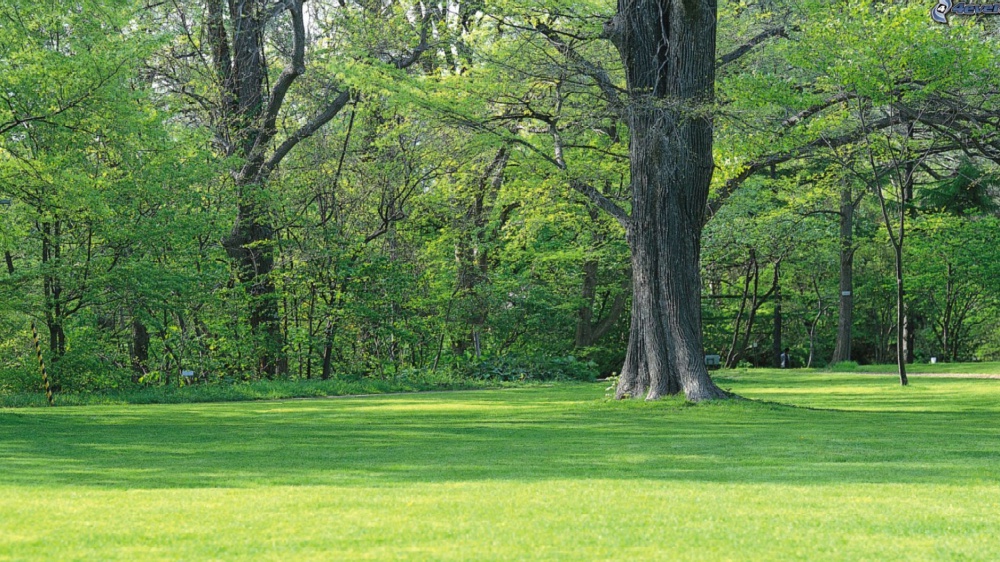 La casa della pace è senza porte