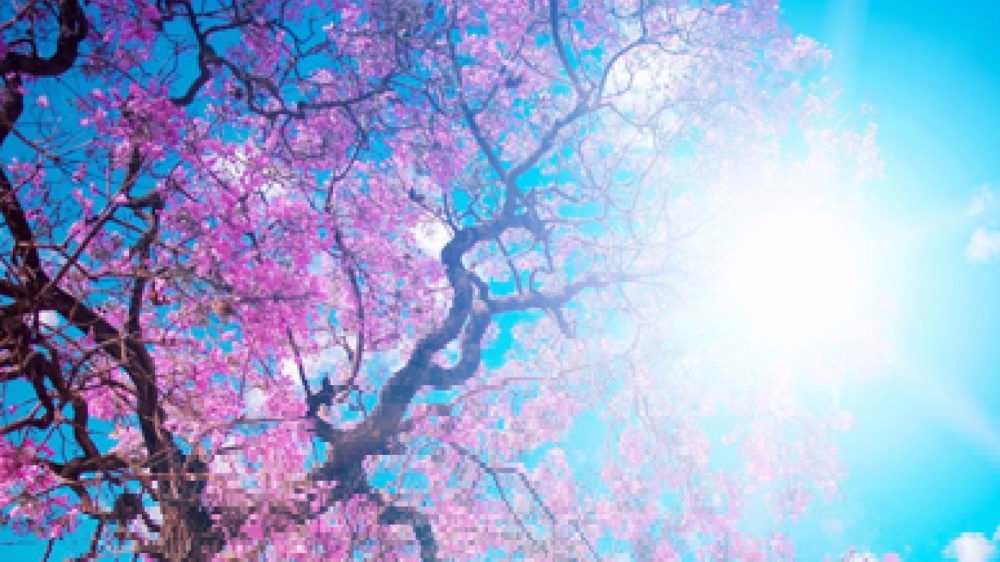 La felicità sta sul volto dei bambini