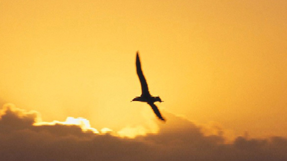 La saggezza è un metodo di vita