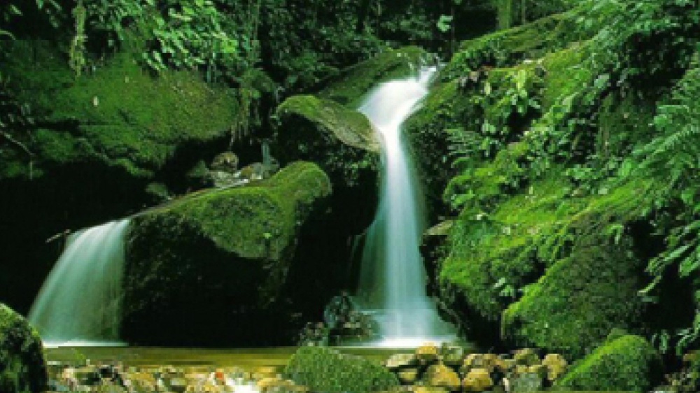 La verità viene soprattutto dal cuore