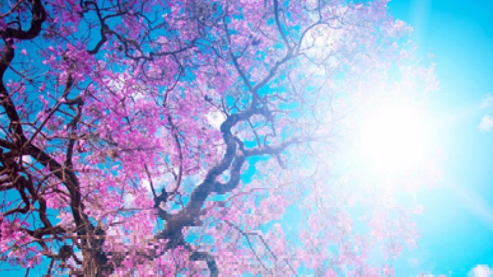 La vita è tutta una domanda