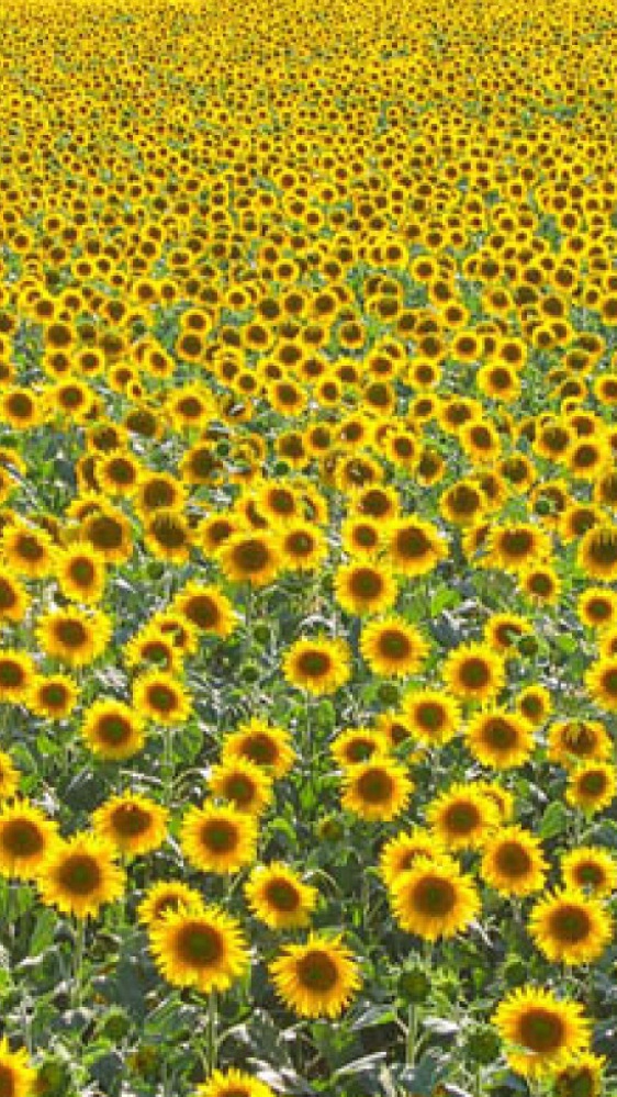 Don Mazzi dà i numeri - L’amore porta con se i suoi spaventi