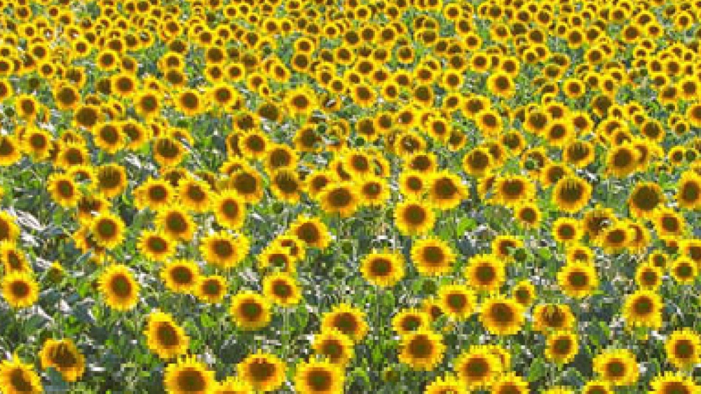 L’amore porta con se i suoi spaventi