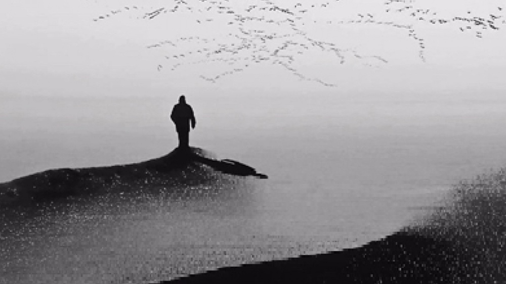 L’umiltà è la virtù che credi di non avere