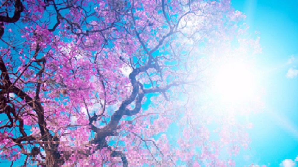 Meglio buoni esempi che ottimi consigli