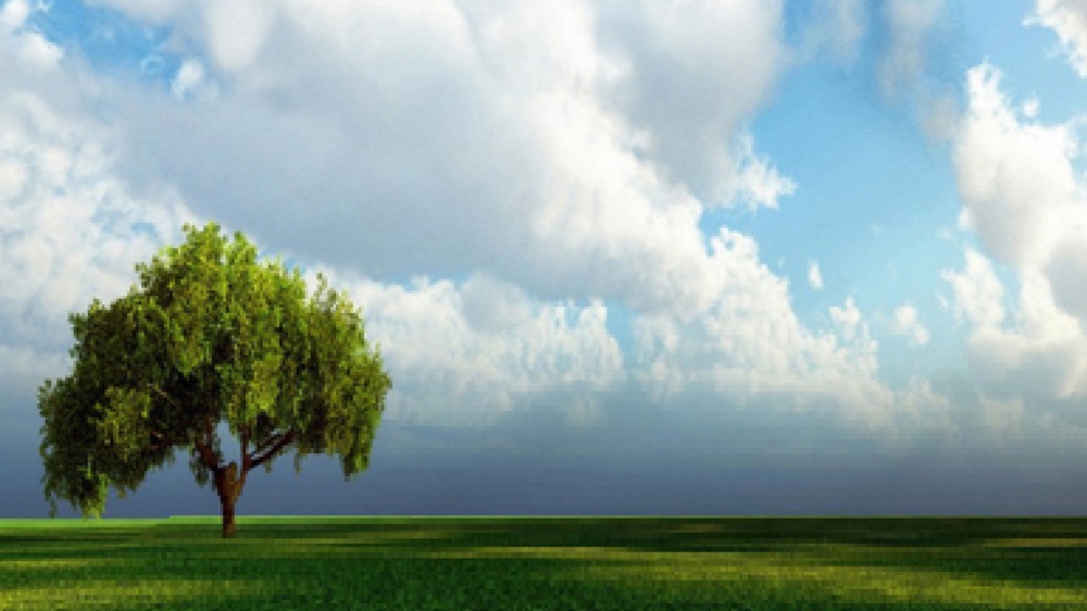 Meglio un volto che una maschera