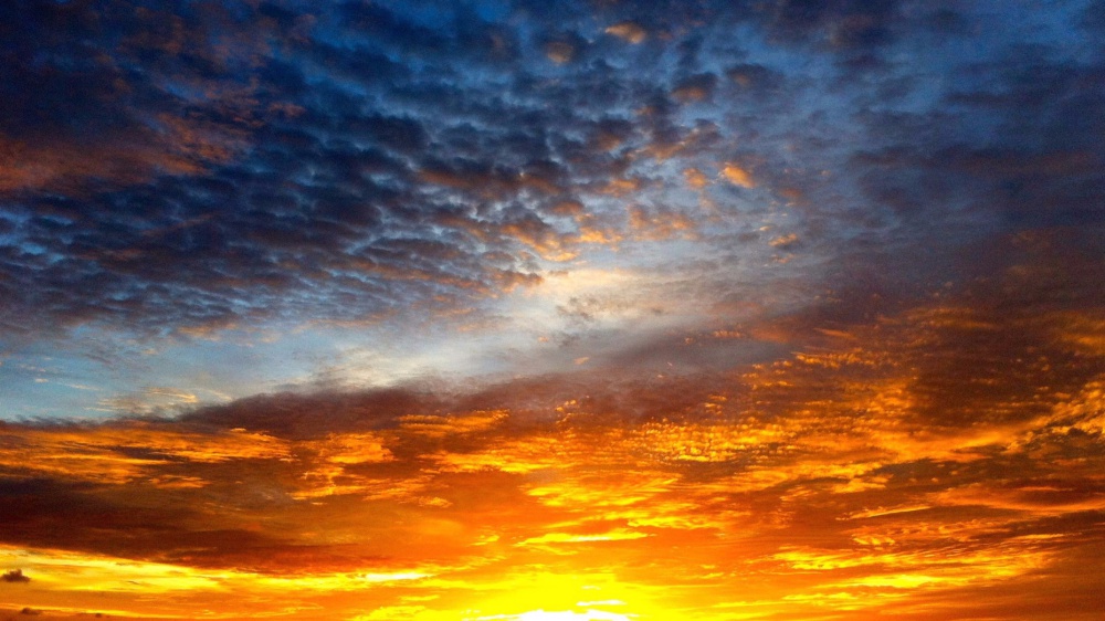 No buttate via la vita, perché la viviamo una volta sola