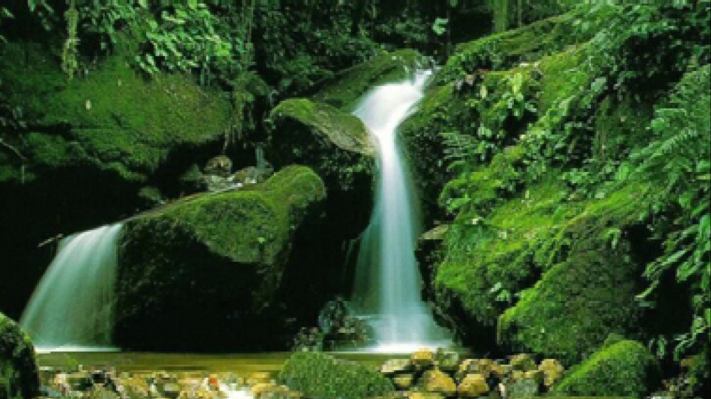 Oggi per guarire il corpo dobbiamo dobbiamo guarire le relazioni tra di noi