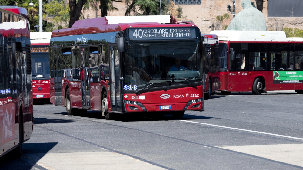 Pasqua, Golfo e cinghiate 