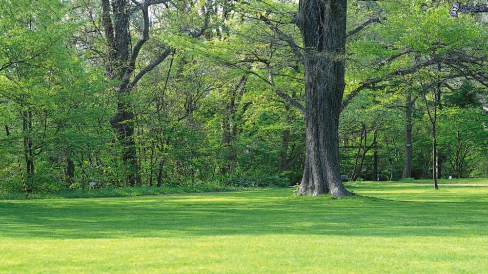 Pensare è più difficile che fare