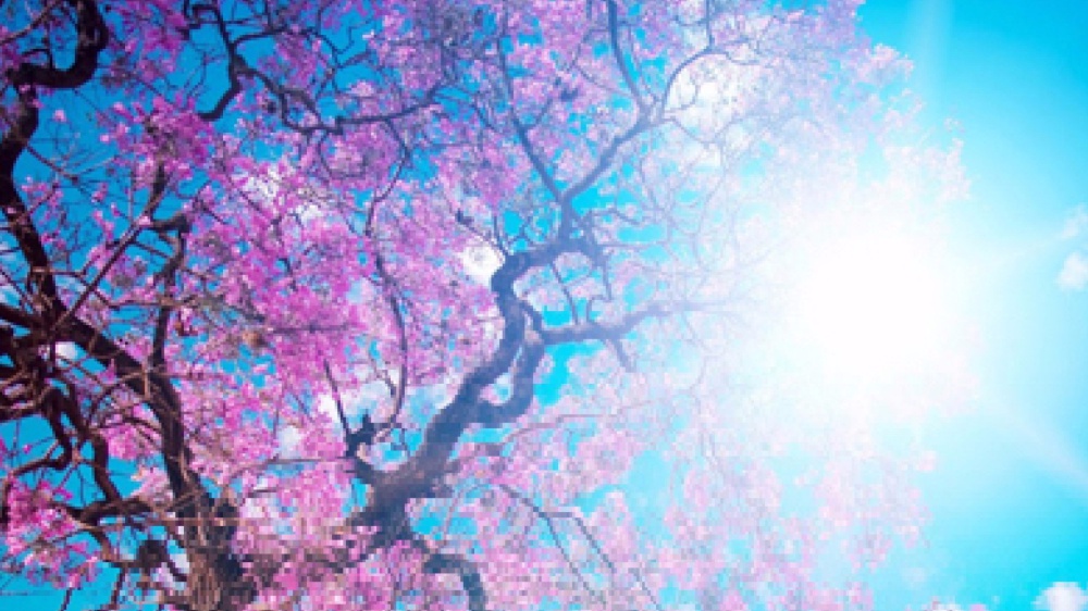 Solo le cose che costano ci aiutano a maturare