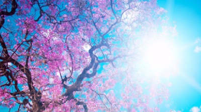 Vai alla pagina relativa a Don Mazzi dà i numeri - Anche gli sbagli, se sono presi con criterio, ci aiutano a vivere