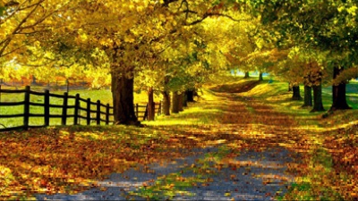 Vai alla pagina relativa a Don Mazzi dà i numeri - Ascoltate anche il figlio che vi disturba di più