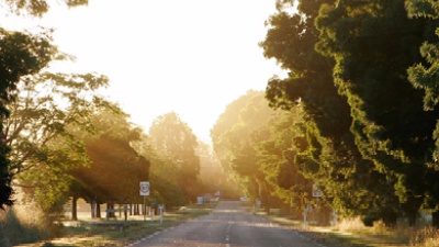 Vai alla pagina relativa a Don Mazzi dà i numeri - C’è un solo piacere al mondo, quello di essere vivi