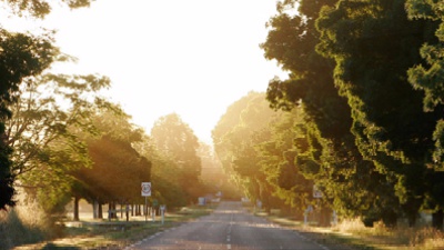 Vai alla pagina relativa a Don Mazzi dà i numeri - Costa troppo diventare migliori