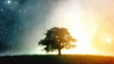 Vai alla pagina relativa a Don Mazzi dà i numeri - Il bisogno della cena, perché unisce