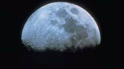 Vai alla pagina relativa a Don Mazzi dà i numeri - La gioia è una medicina potente