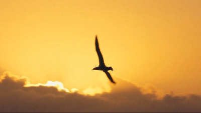 Vai alla pagina relativa a Don Mazzi dà i numeri - L’assoluta tranquillità comincia col silenzio