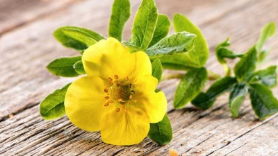 Vai alla pagina relativa a Don Mazzi dà i numeri - Mi piace il vento perché no si compra