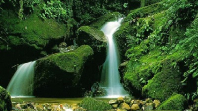 Vai alla pagina relativa a Don Mazzi dà i numeri - Non esistono viaggi organizzati per la felicità