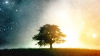 Vai alla pagina relativa a Don Mazzi dà i numeri - Parlare e pensare non sempre vanno d’accordo