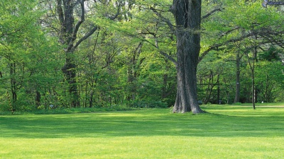 Vai alla pagina relativa a Don Mazzi dà i numeri - Un uomo solo è sempre in cattiva compagnia