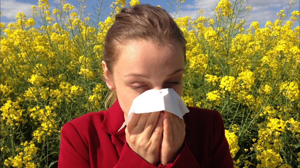 Allergie di stagione 