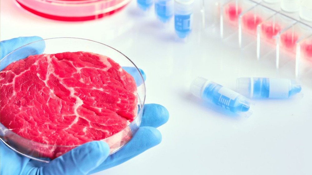 Carne sintetica: parliamo del disegno di legge presentato il 28 marzo che vieta il cibo sintetico in Italia 