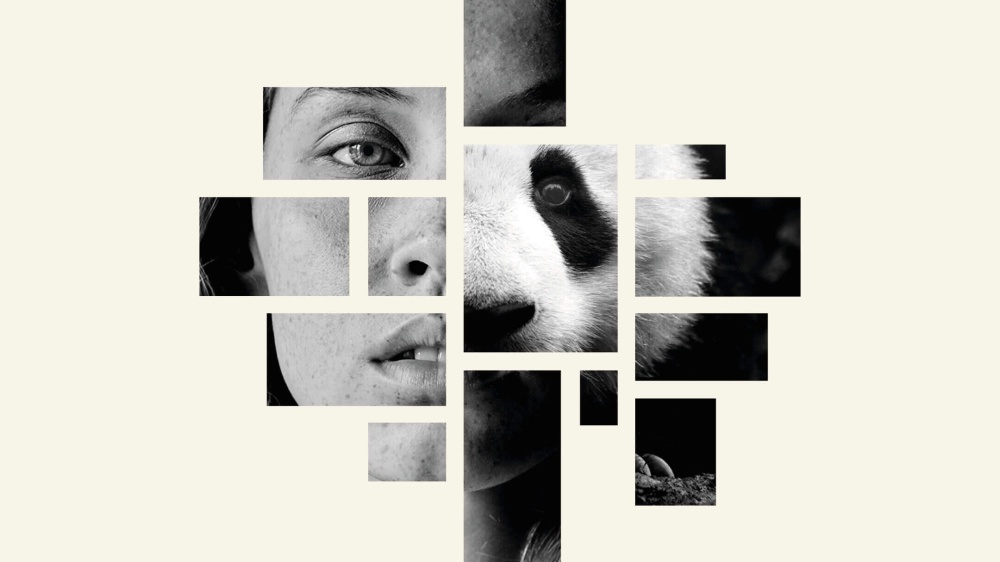 Il panda siamo noi, la mostra fotografica del WWF Italia