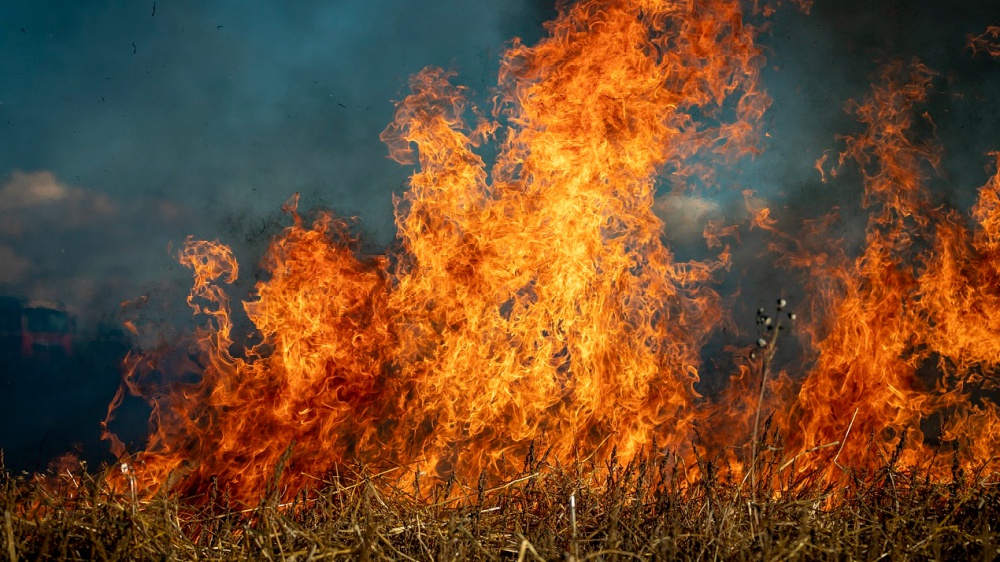 Incendi dolosi favoriti dalla crisi climatica 