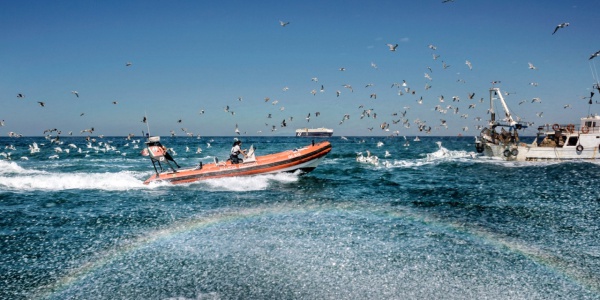 Viamare - Guardia Costiera: Pesca Professionale: Incontro Al Comando ...