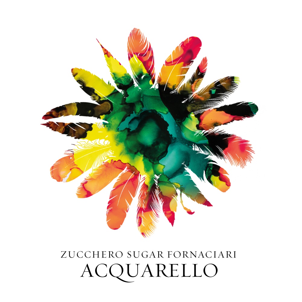 Zucchero Acquarello