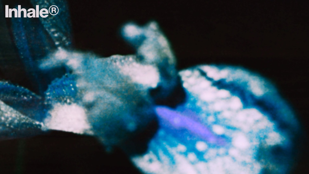 Top 20 Inhaler Your House RTL 102.5 Play