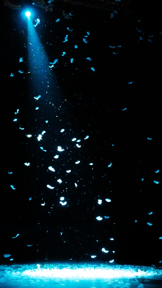 New Hit: Levante - Sei tu - 