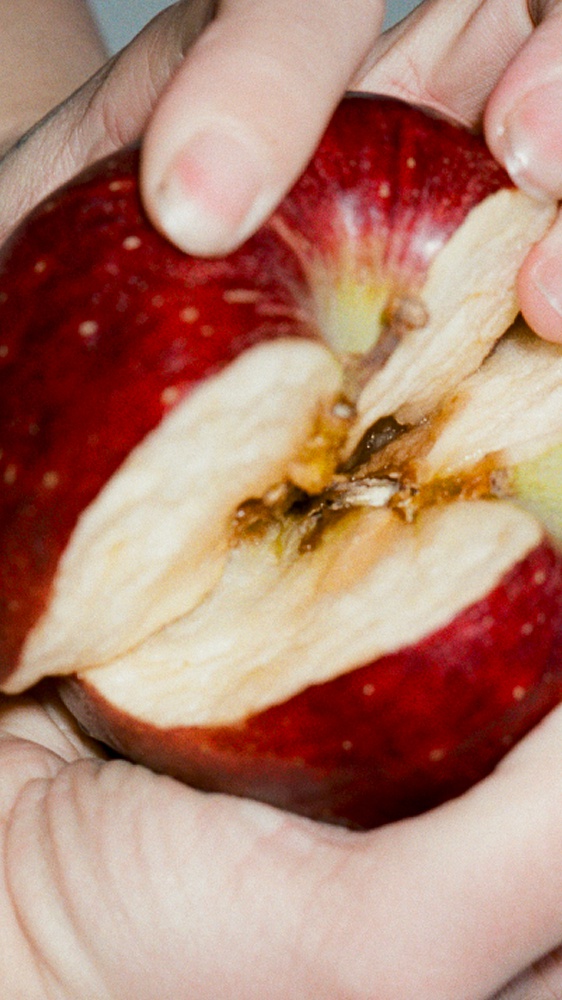 New Hit: Madame - Disincanto - 