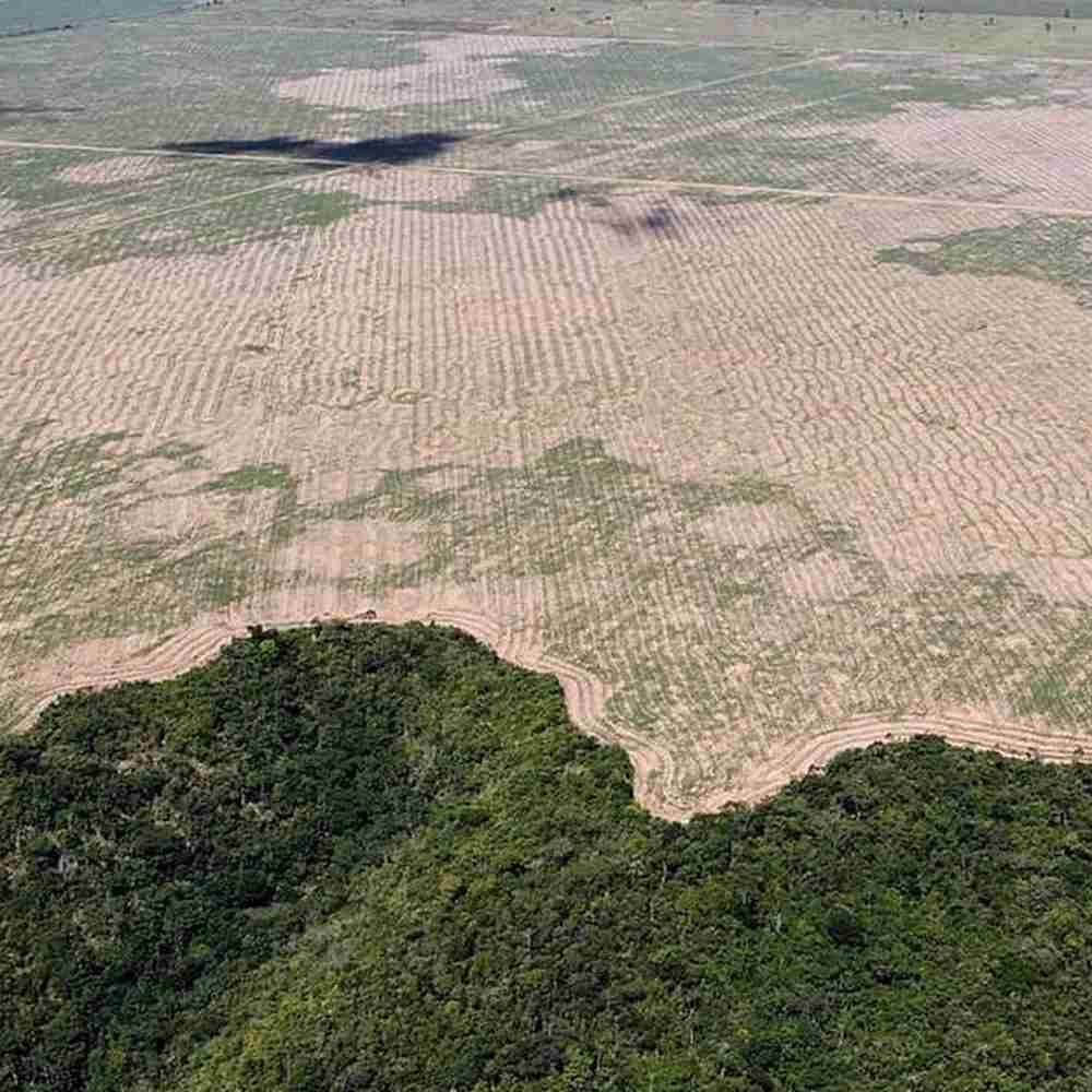 Amazzonia, dati ufficiali confermano deforestazione in atto