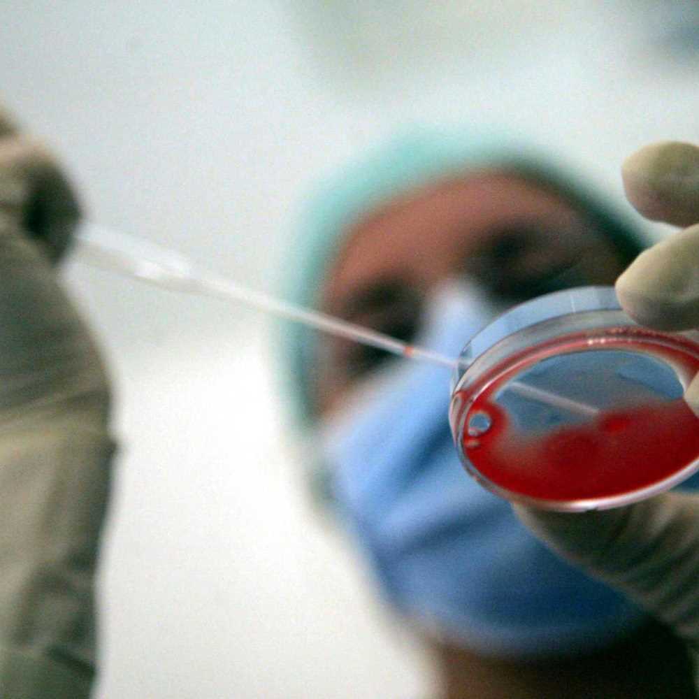 Bimba nata da seme congelato ha diritto al cognome del padre